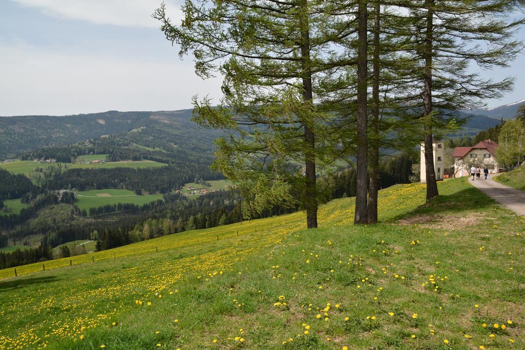 Hotel Gästepension Edeltraud Hirschegg  Exterior foto