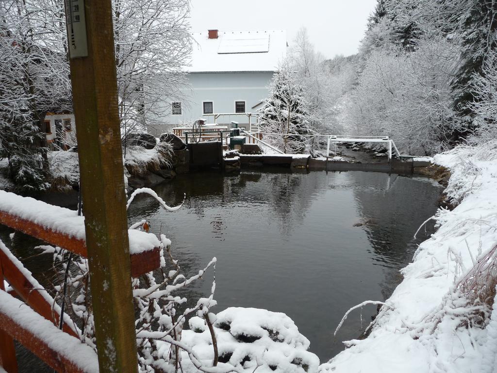 Hotel Gästepension Edeltraud Hirschegg  Exterior foto